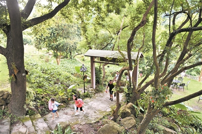 增城派潭鎮(zhèn)樟洞坑村環(huán)境優(yōu)美，風(fēng)景宜人。廣州日報全媒體記者喬軍偉攝（資料圖片）