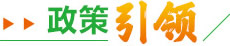 政策引領