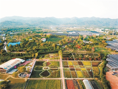 “美麗鄉(xiāng)村”西和村，瑰麗多彩的寶趣玫瑰世界花田。