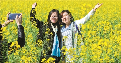 游客在花都油菜花田賞花。 廣州日?qǐng)?bào)全媒體記者邱偉榮 攝