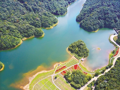 石門國(guó)家森林公園 廣州日?qǐng)?bào)全媒體記者楊耀燁 攝