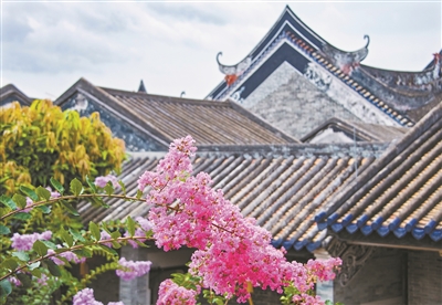 余蔭山房今夏已成紫薇花海。.jpg