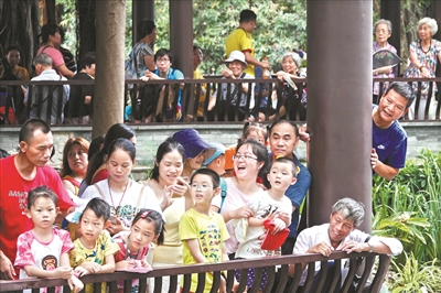 荔枝灣涌舉行“五月五·龍舟鼓” 系列活動(dòng)，現(xiàn)場(chǎng)人山人海，熱鬧非凡。