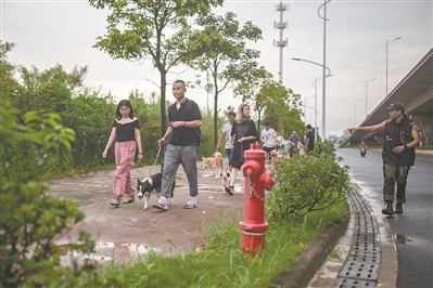 馴犬師兵兵面對面指導(dǎo)主人正確遛狗。