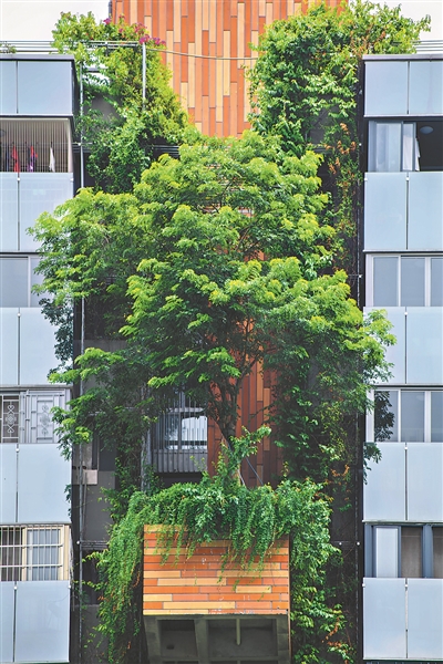 新式垂直綠化理念，不會(huì)讓植物完全遮蔽建筑，相反，設(shè)計(jì)師會(huì)留出對(duì)流風(fēng)口，讓建筑冬暖夏涼。1