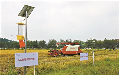 轉(zhuǎn)存圖片