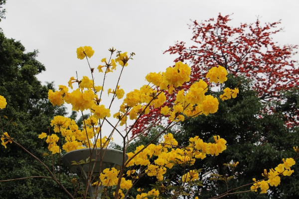 荔灣湖公園.jpg