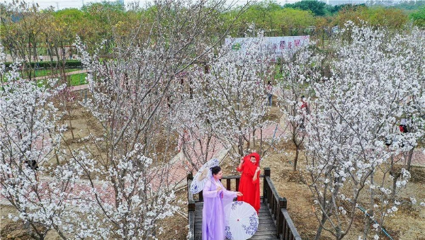 豐華園.jpg