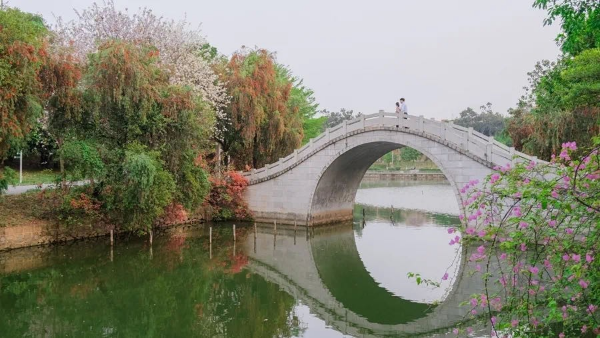 華南農(nóng)業(yè)大學(xué).jpg