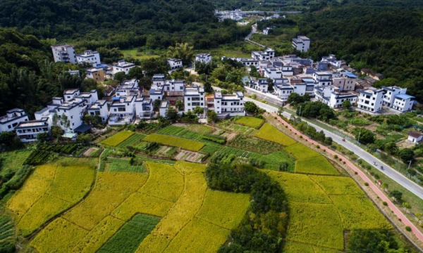 米埗小鎮(zhèn).jpg