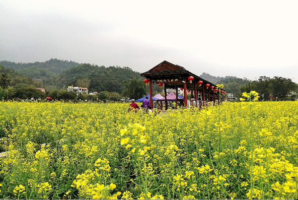 紅山村.png