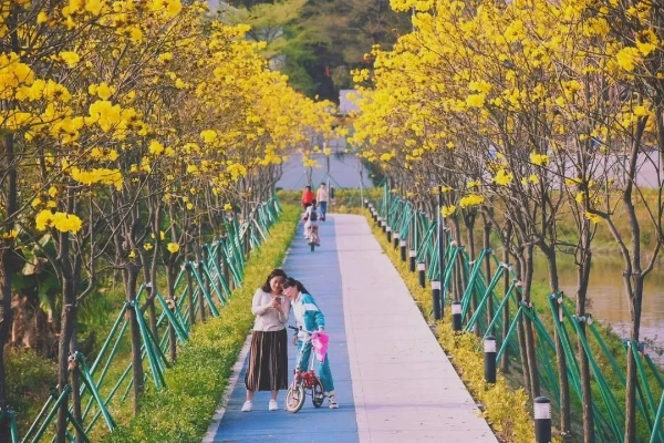 長洲島.jpg