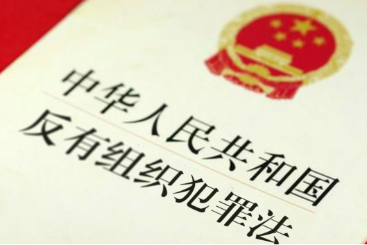 《反有組織犯罪法》來了！全是知識點！
