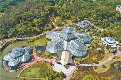 講好中國(guó)植物故事 彰顯生物多樣性魅力12.jpg