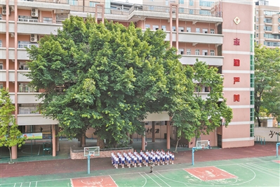 操場邊 大葉榕 莘莘學(xué)子享青春