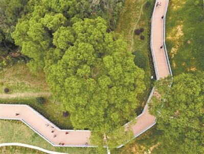 廣州累計建成3800公里城市綠道、擁有各類公園逾1200個、種植主題花樹40萬株……