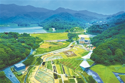 廣州大力促進農業(yè)生產要素在空間上配置優(yōu)化 實現(xiàn)各區(qū)錯位發(fā)展優(yōu)勢互補
