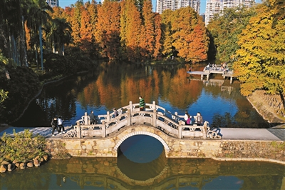 綠美廣州 春色滿“園”關不住