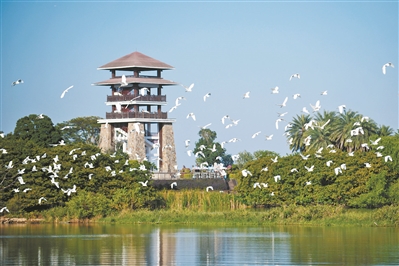 廣州南沙：潮涌灣區(qū)逐浪高