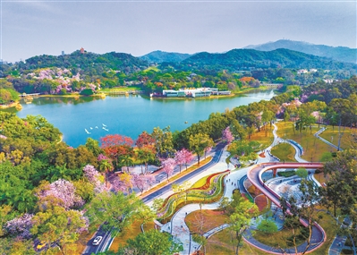 廣州市生態(tài)環(huán)境局黨組書記、局長楊柳：久久為功建設(shè)美麗廣州