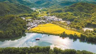 廣州市委農(nóng)辦主任，市農(nóng)業(yè)農(nóng)村局黨組書記、局長李世通：奮力書寫中國式農(nóng)業(yè)農(nóng)村現(xiàn)代化的“廣州答卷”