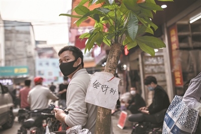 一位男子走在康樂村，身上背著一株盆栽，上面寫著“發(fā)財樹”。