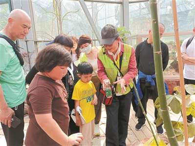 華南國(guó)家植物園志愿者“招新”