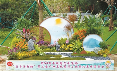 第64屆羊城菊會(huì)展出規(guī)模創(chuàng)近年之最