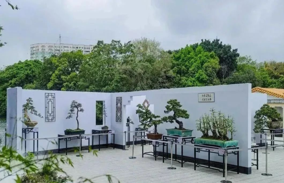 賞花、看展、游園！廣州誠(chéng)邀全國(guó)人民來(lái)穗“園博walk”