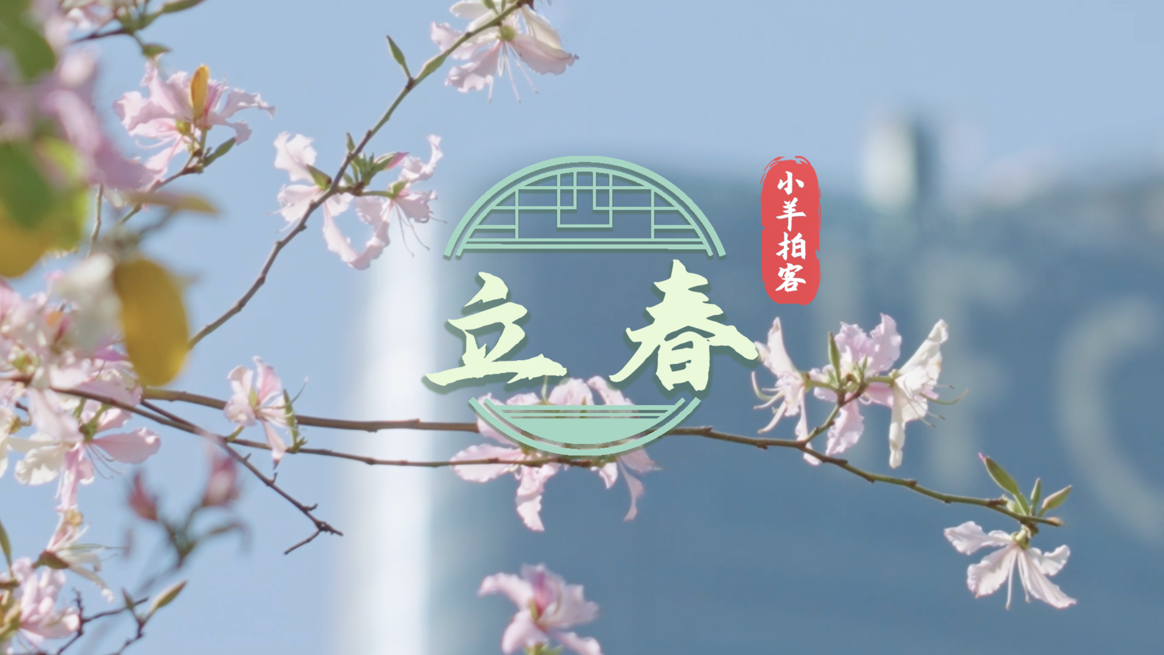 立春，花開嶺南待客來