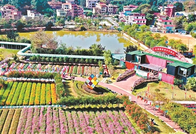 廣州鄉(xiāng)村Walk！7條寶藏路線分享→