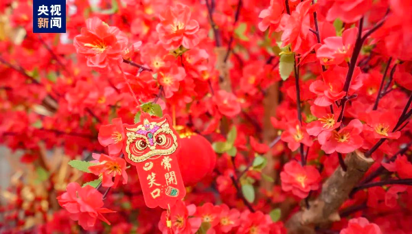 寫(xiě)意春天里 灣區(qū)花正開(kāi)