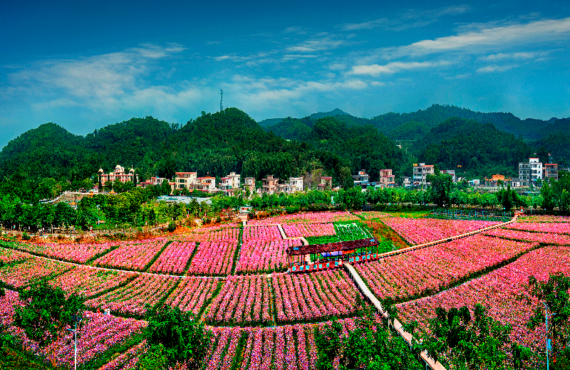 花都區(qū)梯面紅山村綠道