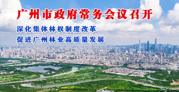 【一圖讀懂】一圖讀懂16屆63次市政府常務(wù)會(huì)議