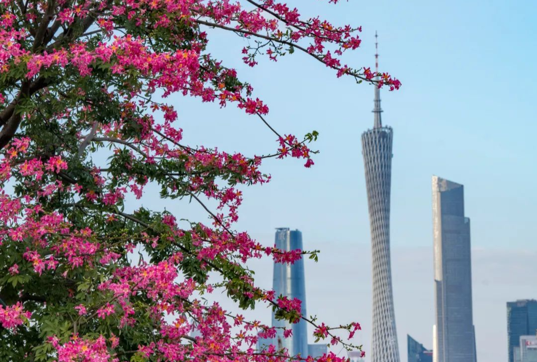 廣州市召開生態(tài)環(huán)境保護大會暨綠美廣州生態(tài)建設(shè)工作會議
