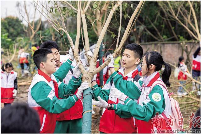 在廣州海珠國(guó)家濕地公園二期，前來參與公益植樹活動(dòng)的市民群眾絡(luò)繹不絕。