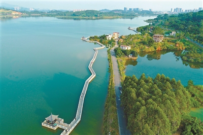 系統(tǒng)推進(jìn)生態(tài)修復(fù) 建設(shè)美麗宜居花城