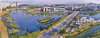 廣州市林業(yè)和園林局舉辦2024年無(wú)人機(jī)造林應(yīng)用現(xiàn)場(chǎng)觀摩會(huì)