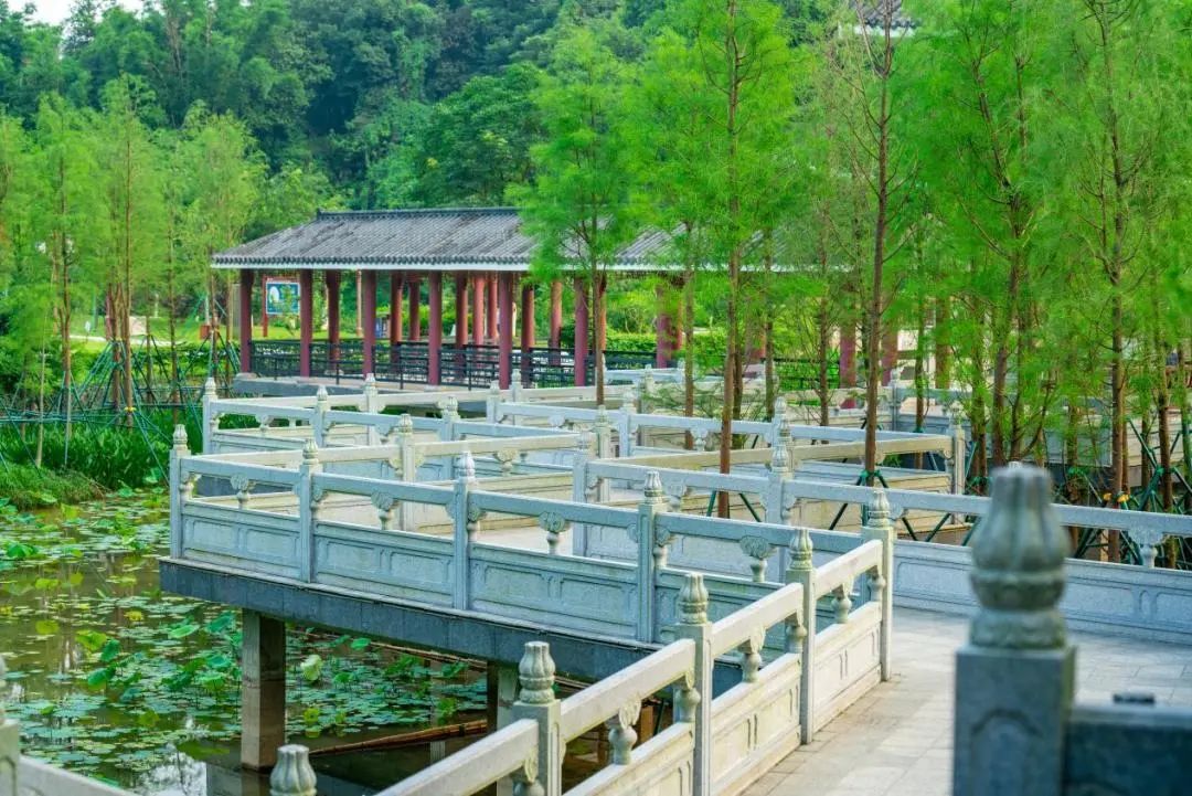 就在家門口！黃埔5大「寶藏公園」等你解鎖 →