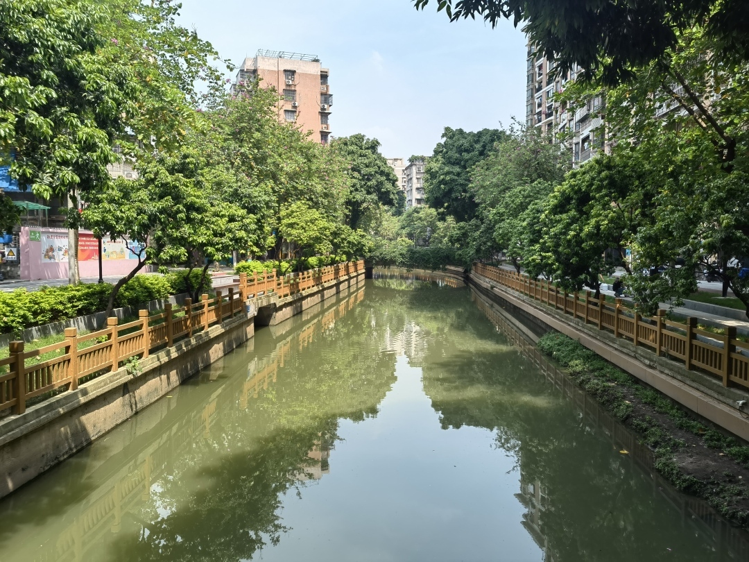 荔灣彩虹街：古水潤民生，打造現(xiàn)代化綠色生態(tài)“名片”