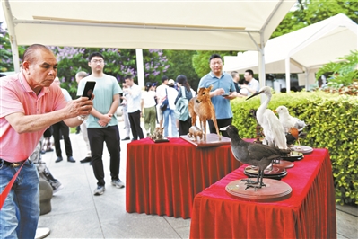 廣州市開展2024年國際生物多樣性日宣傳活動(dòng)