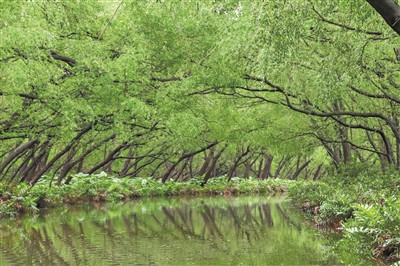 廣州推動(dòng)海洋空間生態(tài)整體保護(hù)、系統(tǒng)修復(fù)