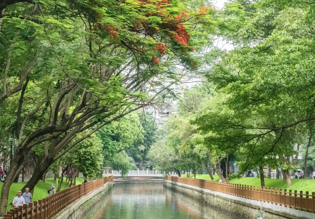 “綠美”共享，打造駟馬涌、荔枝灣高質(zhì)量濱水空間