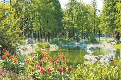黃埔公園3.0升級(jí)亮相 番禺東沙古樟樹公園啟用