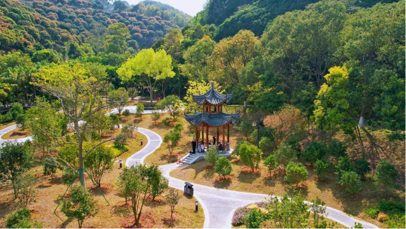 廣州增城：高標(biāo)準(zhǔn)建設(shè)廣東太子森林公園綠美示范保護(hù)地