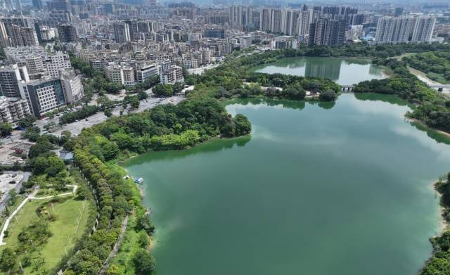 祝賀！花都湖國(guó)家濕地公園入選廣東省自然教育基地