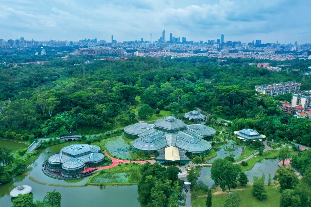 串聯(lián)廣州三大森林公園！市中心森林步道要來(lái)了
