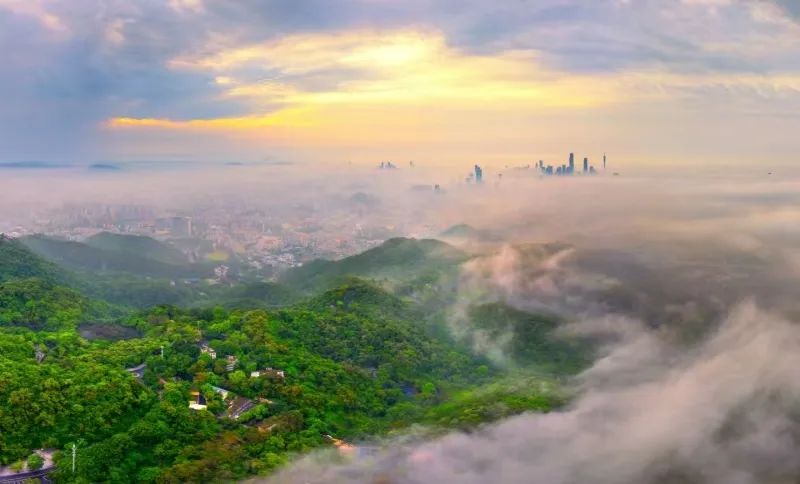 來了！廣州新增一個(gè)國家4A級旅游景區(qū)！