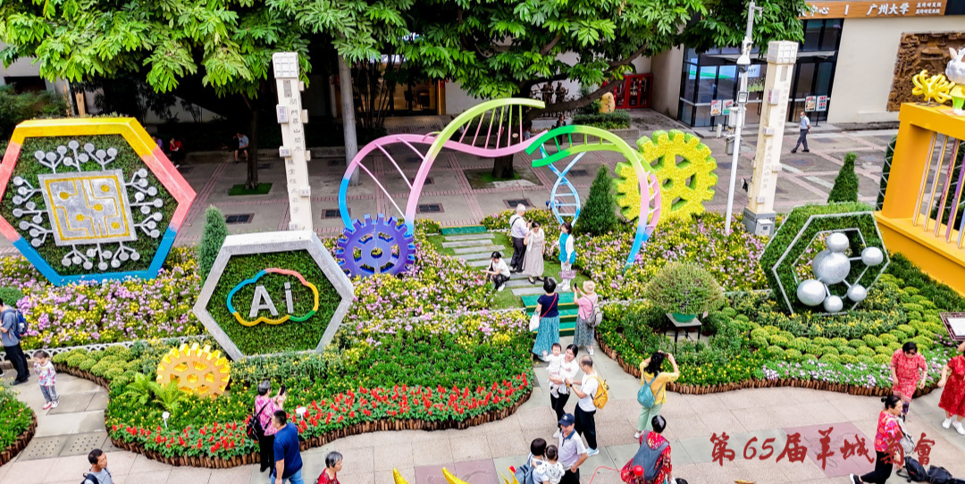 廣州文化公園羊城菊會(huì)開(kāi)幕，最佳觀賞期在月底
