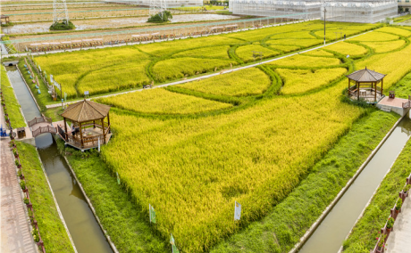 這個(gè)園區(qū)獲評國家3A級旅游景區(qū)，將打造成廣州農(nóng)旅名片